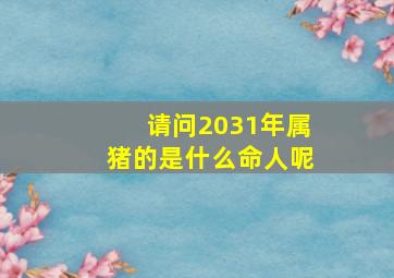 请问2031年属猪的是什么命人呢