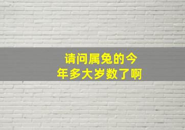 请问属兔的今年多大岁数了啊