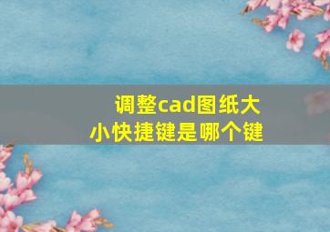 调整cad图纸大小快捷键是哪个键