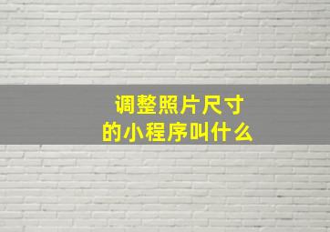 调整照片尺寸的小程序叫什么