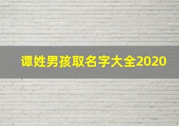 谭姓男孩取名字大全2020