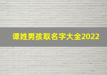 谭姓男孩取名字大全2022