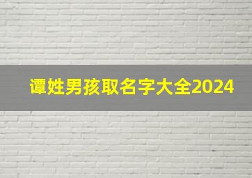 谭姓男孩取名字大全2024