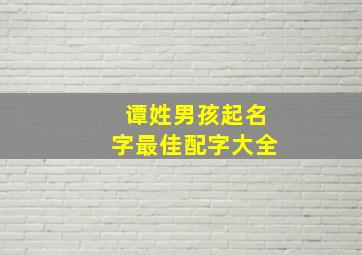 谭姓男孩起名字最佳配字大全