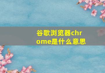 谷歌浏览器chrome是什么意思