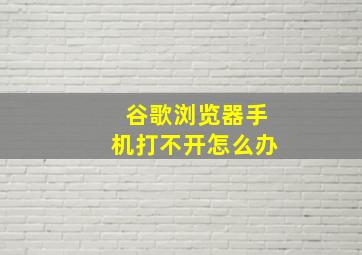 谷歌浏览器手机打不开怎么办