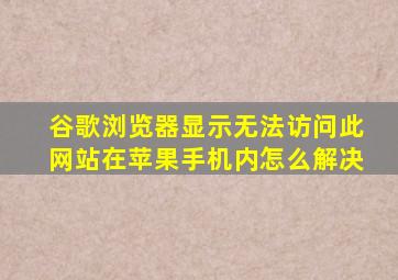 谷歌浏览器显示无法访问此网站在苹果手机内怎么解决