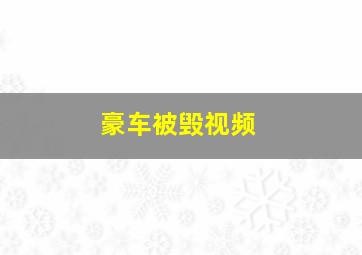 豪车被毁视频