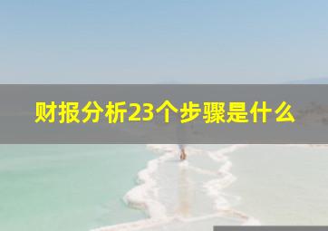 财报分析23个步骤是什么