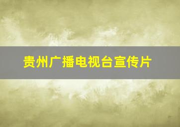 贵州广播电视台宣传片