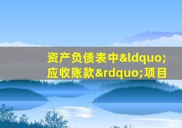 资产负债表中“应收账款”项目