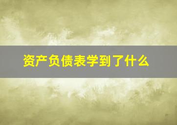 资产负债表学到了什么