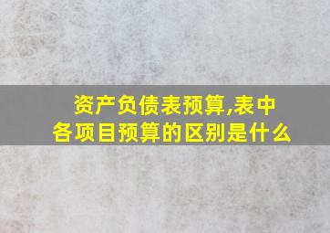 资产负债表预算,表中各项目预算的区别是什么