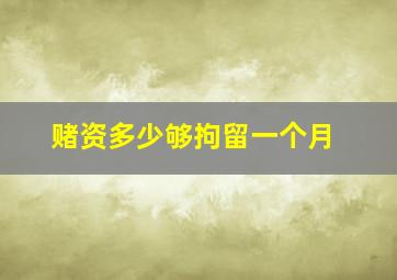 赌资多少够拘留一个月