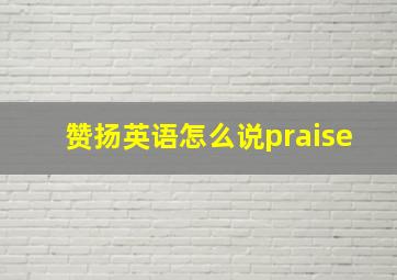 赞扬英语怎么说praise