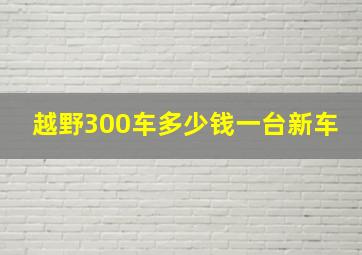 越野300车多少钱一台新车