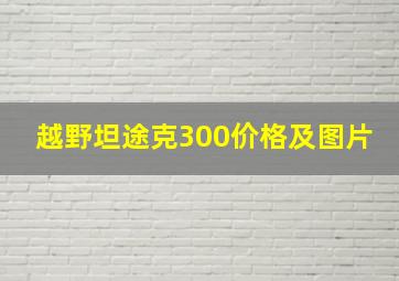 越野坦途克300价格及图片