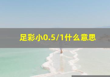 足彩小0.5/1什么意思