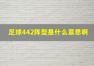 足球442阵型是什么意思啊