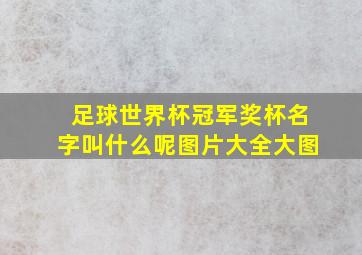 足球世界杯冠军奖杯名字叫什么呢图片大全大图