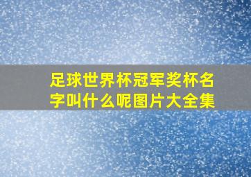 足球世界杯冠军奖杯名字叫什么呢图片大全集