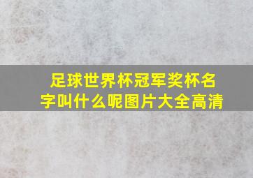 足球世界杯冠军奖杯名字叫什么呢图片大全高清