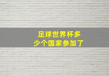 足球世界杯多少个国家参加了