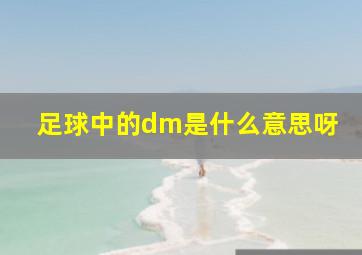 足球中的dm是什么意思呀