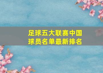 足球五大联赛中国球员名单最新排名