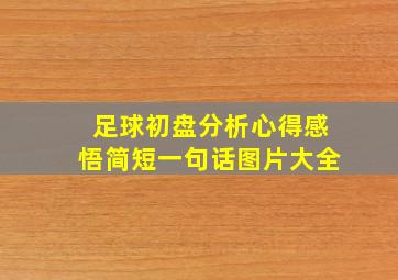 足球初盘分析心得感悟简短一句话图片大全