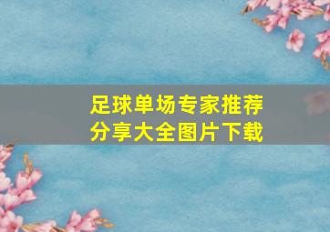 足球单场专家推荐分享大全图片下载