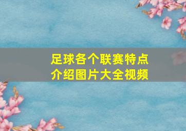 足球各个联赛特点介绍图片大全视频