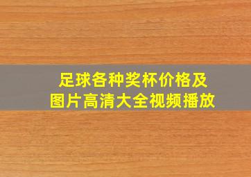 足球各种奖杯价格及图片高清大全视频播放