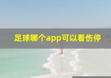 足球哪个app可以看伤停