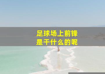 足球场上前锋是干什么的呢