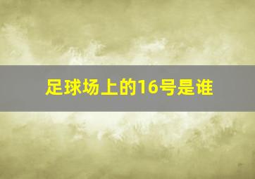 足球场上的16号是谁