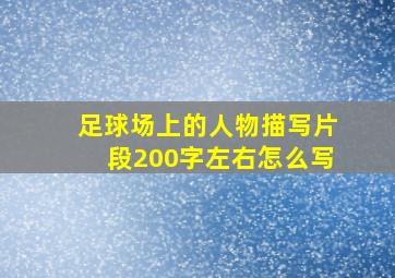 足球场上的人物描写片段200字左右怎么写