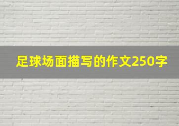 足球场面描写的作文250字