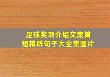 足球奖项介绍文案简短精辟句子大全集图片