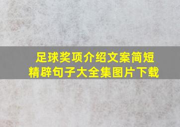 足球奖项介绍文案简短精辟句子大全集图片下载