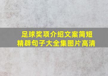 足球奖项介绍文案简短精辟句子大全集图片高清