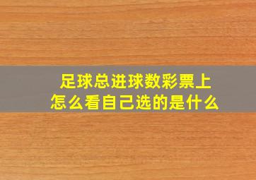 足球总进球数彩票上怎么看自己选的是什么