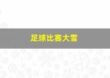 足球比赛大雪