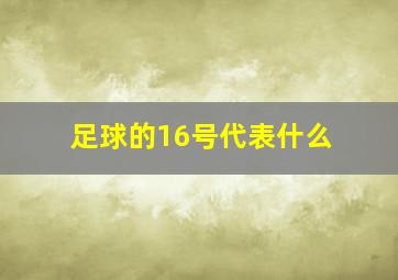 足球的16号代表什么