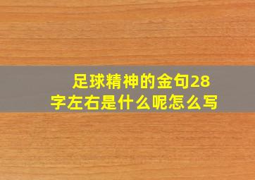 足球精神的金句28字左右是什么呢怎么写