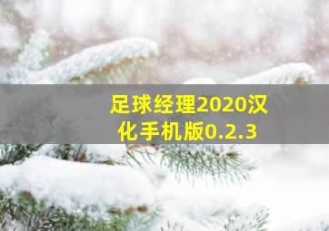 足球经理2020汉化手机版0.2.3