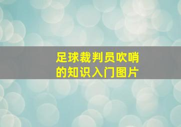 足球裁判员吹哨的知识入门图片