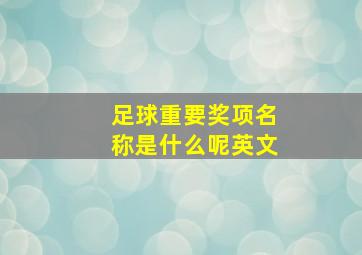 足球重要奖项名称是什么呢英文