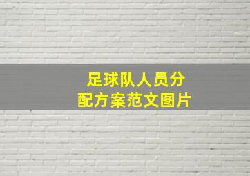 足球队人员分配方案范文图片