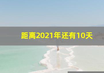 距离2021年还有10天